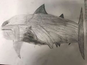White Shark by Dakota, aged 10